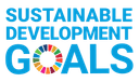 SDG logo