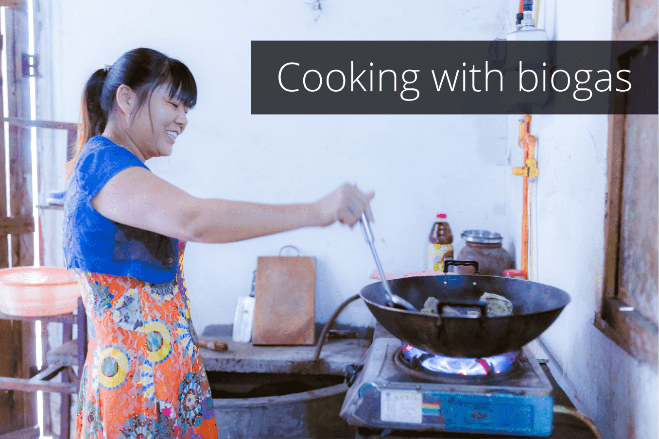 Sichuan Household Biogas Programme