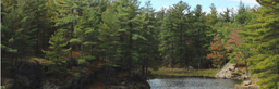 Quinte Community forest carbon project | Southern Ontario, Canada