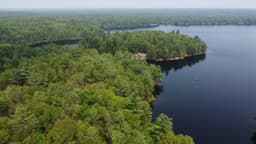 Quinte Community forest carbon project | Southern Ontario, Canada