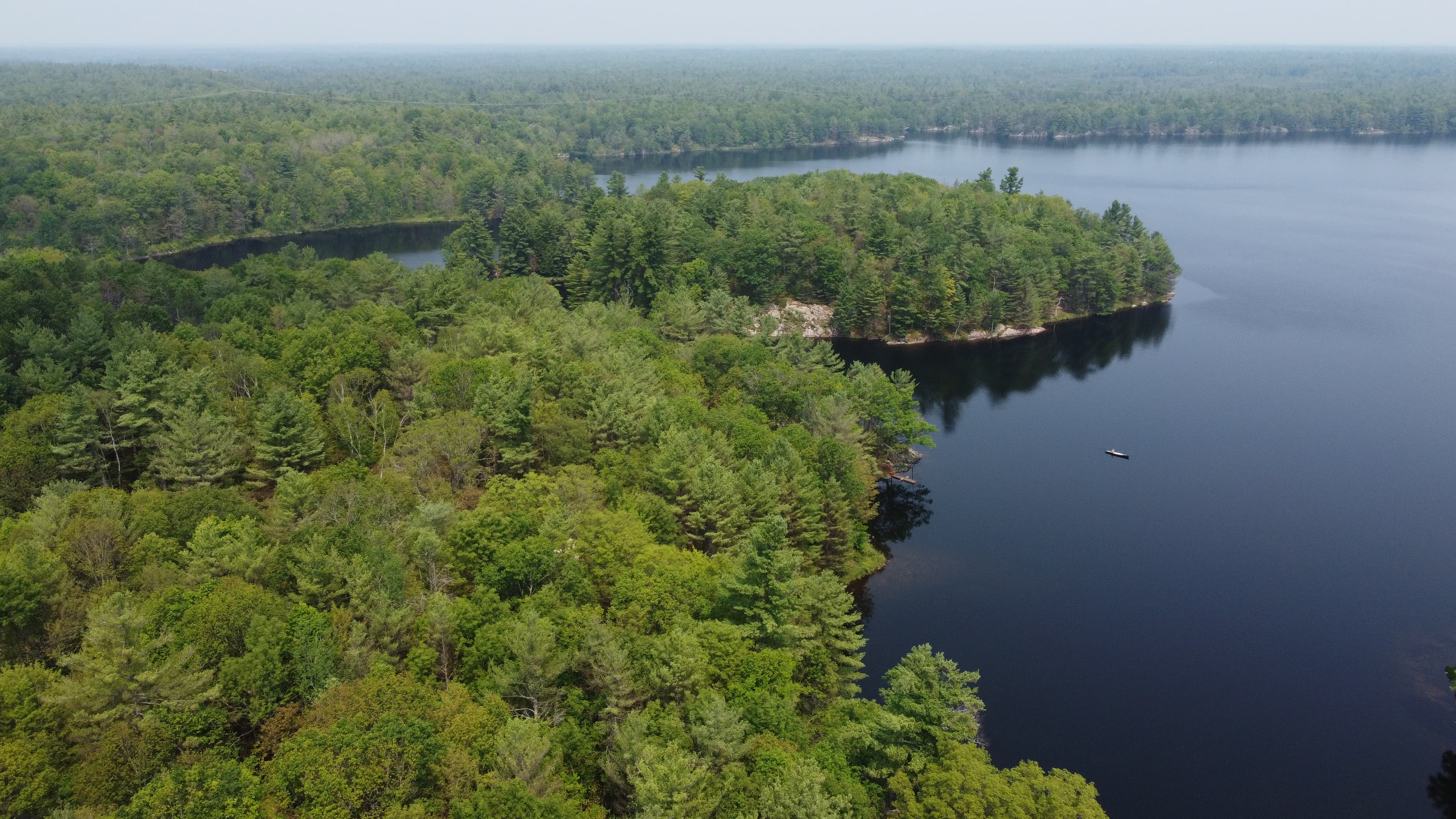 Quinte Community forest carbon project