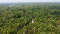 Quinte Community forest carbon project | Southern Ontario, Canada