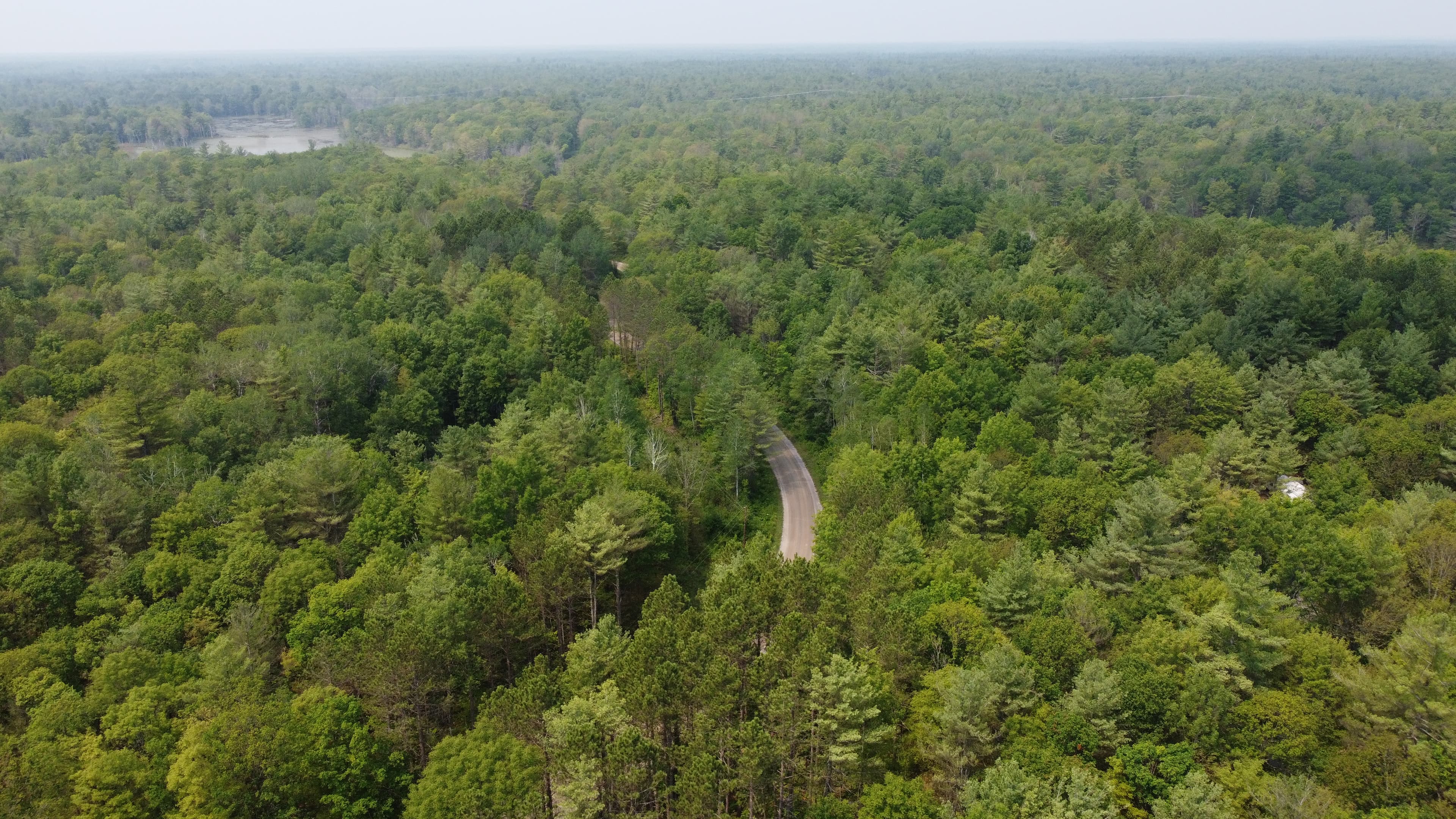 Quinte Community forest carbon project