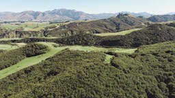 Flax Hills Forever Forest | Kaikōura, New Zealand