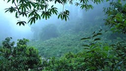 Rimba Raya Biodiversity Reserve (REDD+) | Central Kalimantan, Indonesia