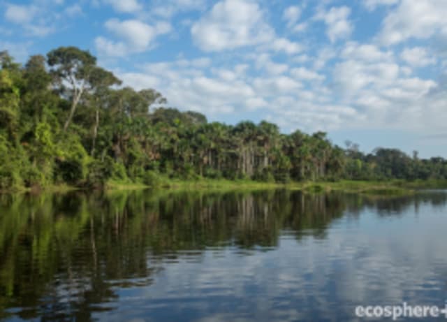 How Does Climate Change Affect The Biodiversity Of Marine Ecosystems How Does Climate Change Affect The Biodiversity Of Marine Ecosystems